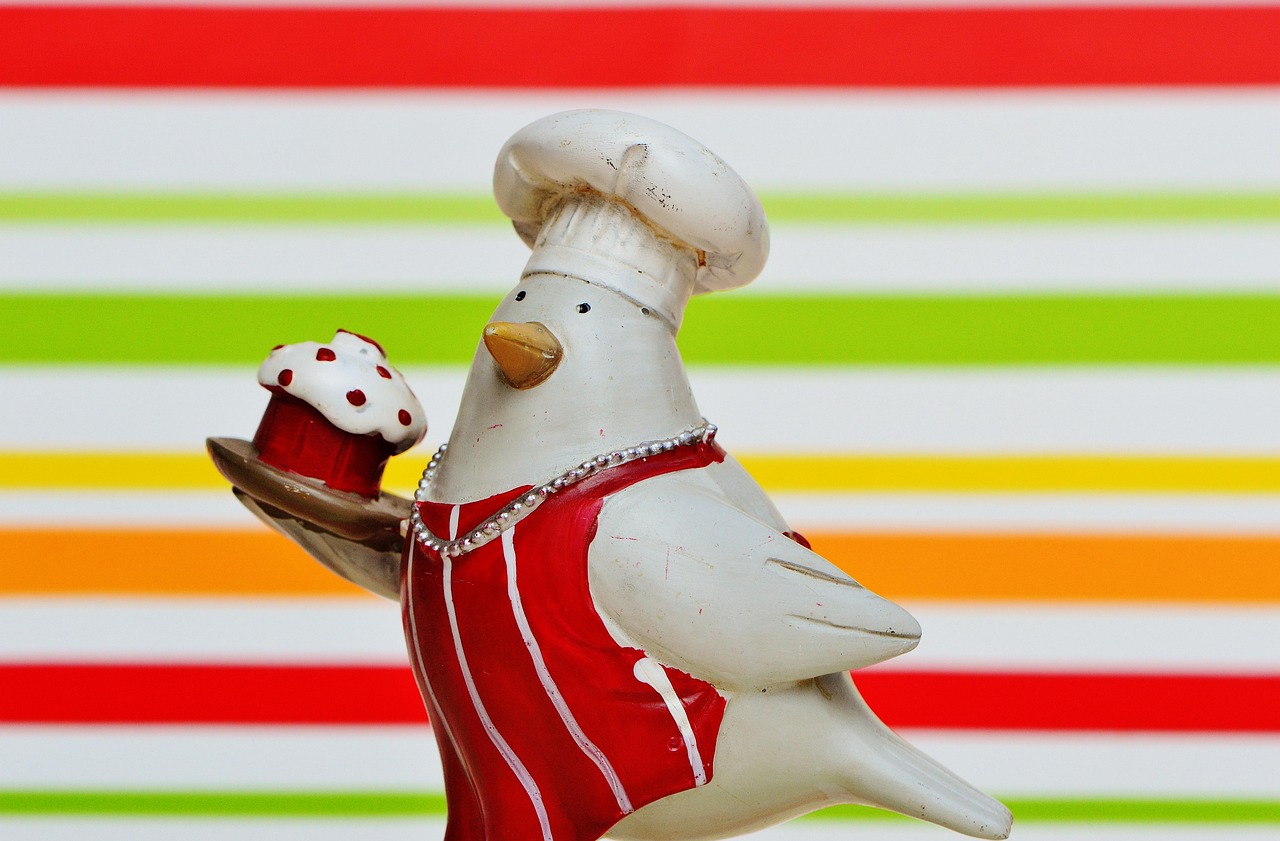 巴西柔術(shù)比賽，力與技的絕美展現(xiàn)