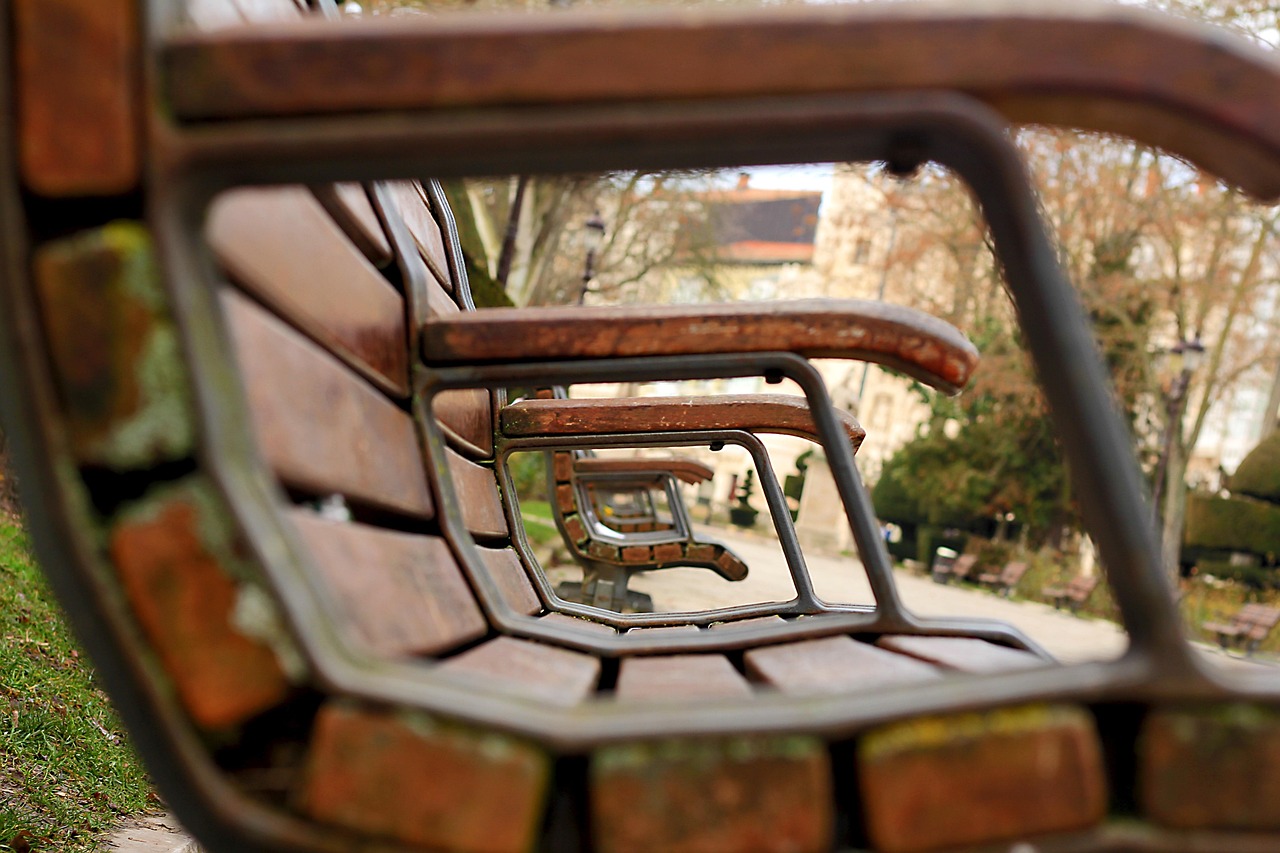 駿龍廣場萊蕪最新動態(tài)，城市發(fā)展的活力源泉與脈搏