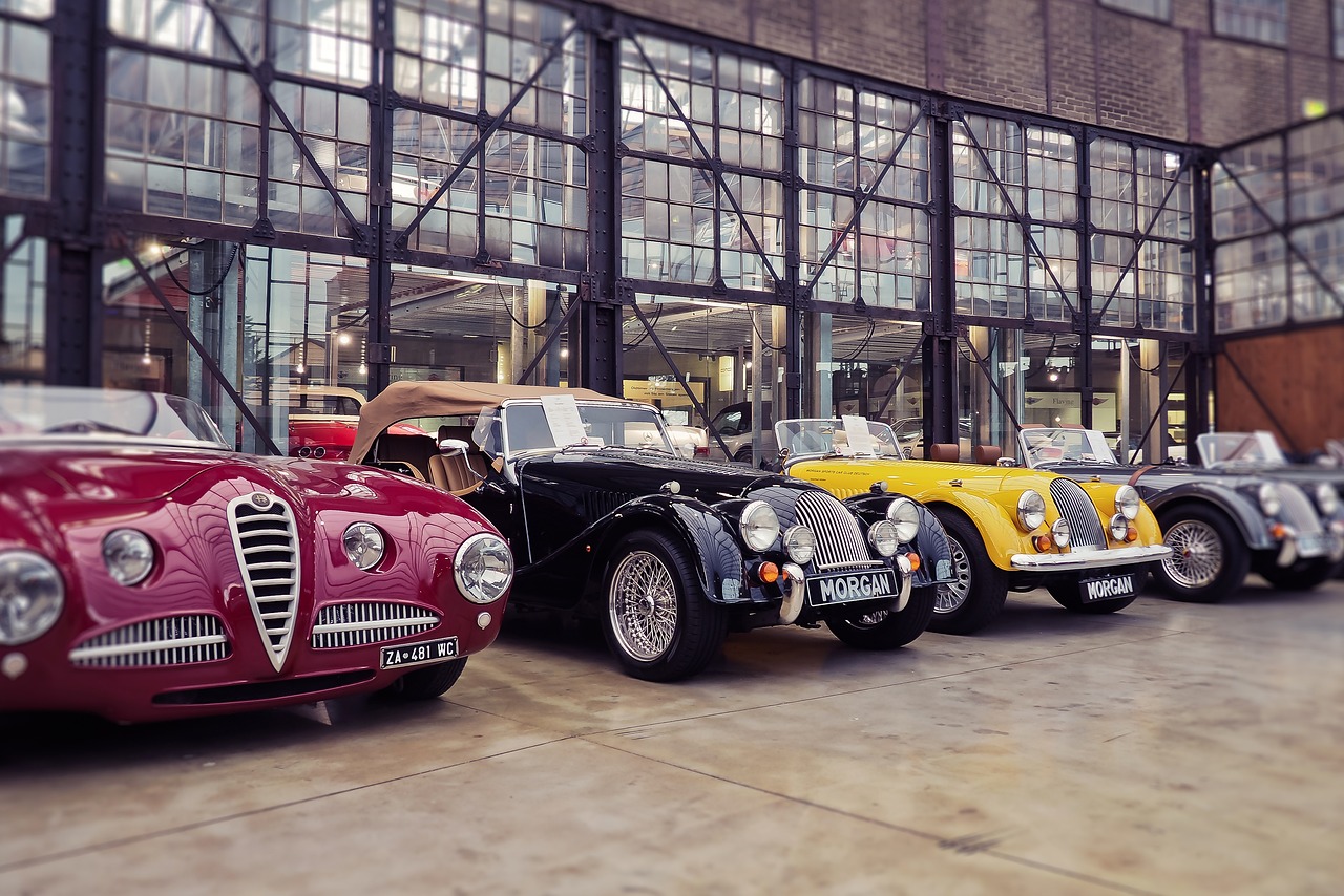 富貴鳥最新動態(tài)，邁向未來的戰(zhàn)略調(diào)整與步伐展示