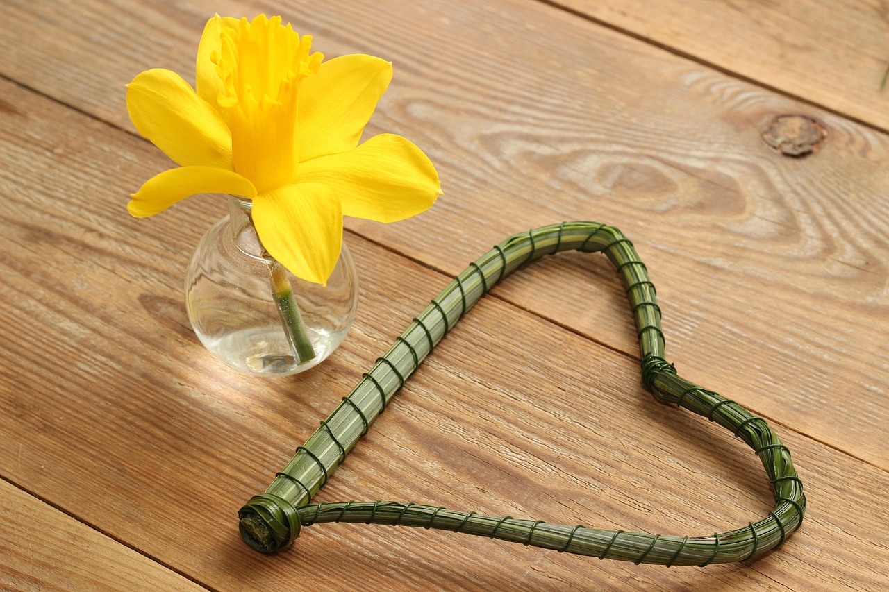 翡翠手鐲圖片與價(jià)格解析，價(jià)格透明化，選購無憂！