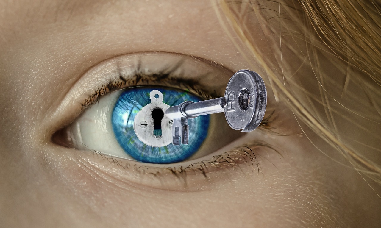 駝峰鼻男明星，獨(dú)特魅力的象征標(biāo)志