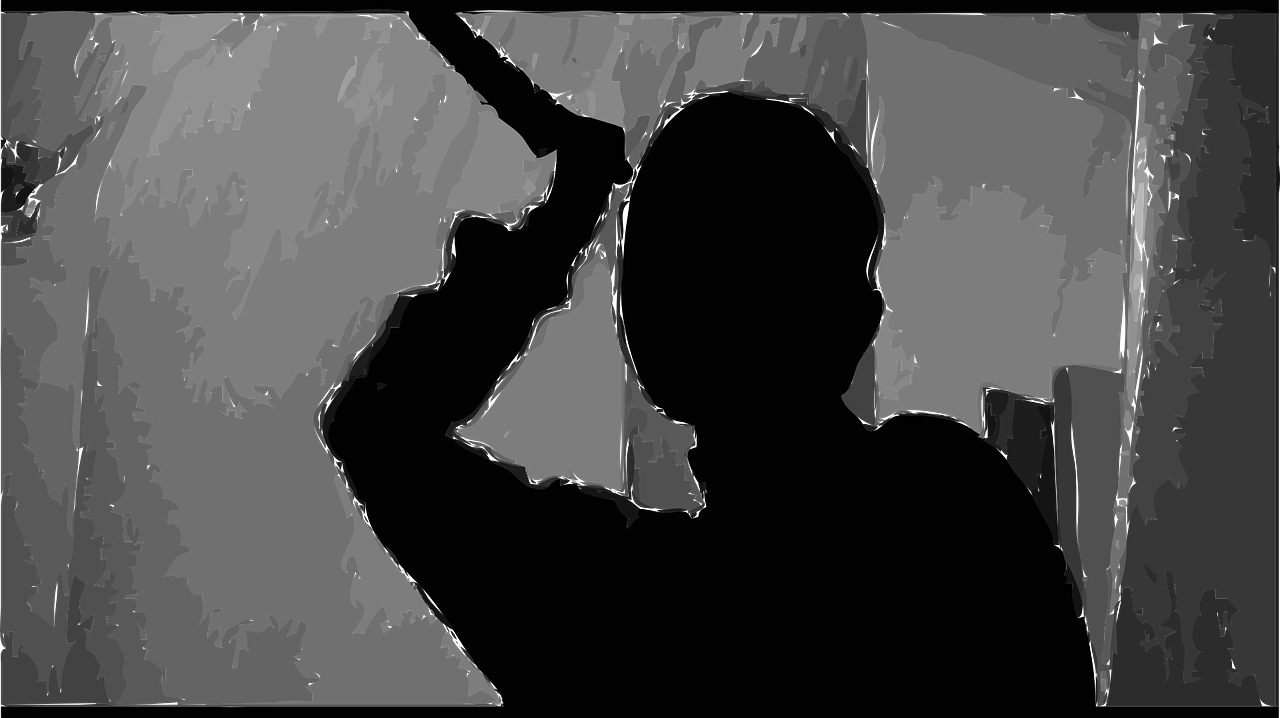 吳謝宇殺母案最新進(jìn)展及反思