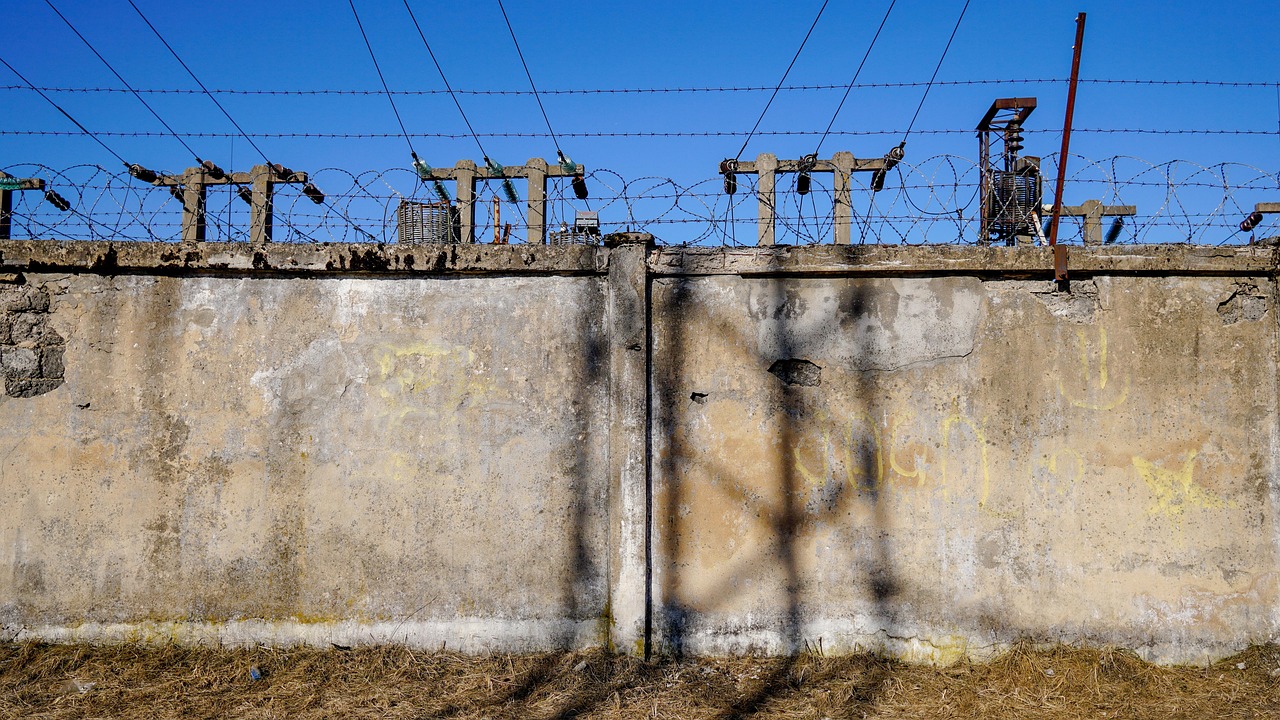 最新全順資訊，引領(lǐng)行業(yè)發(fā)展的前沿動(dòng)態(tài)概覽