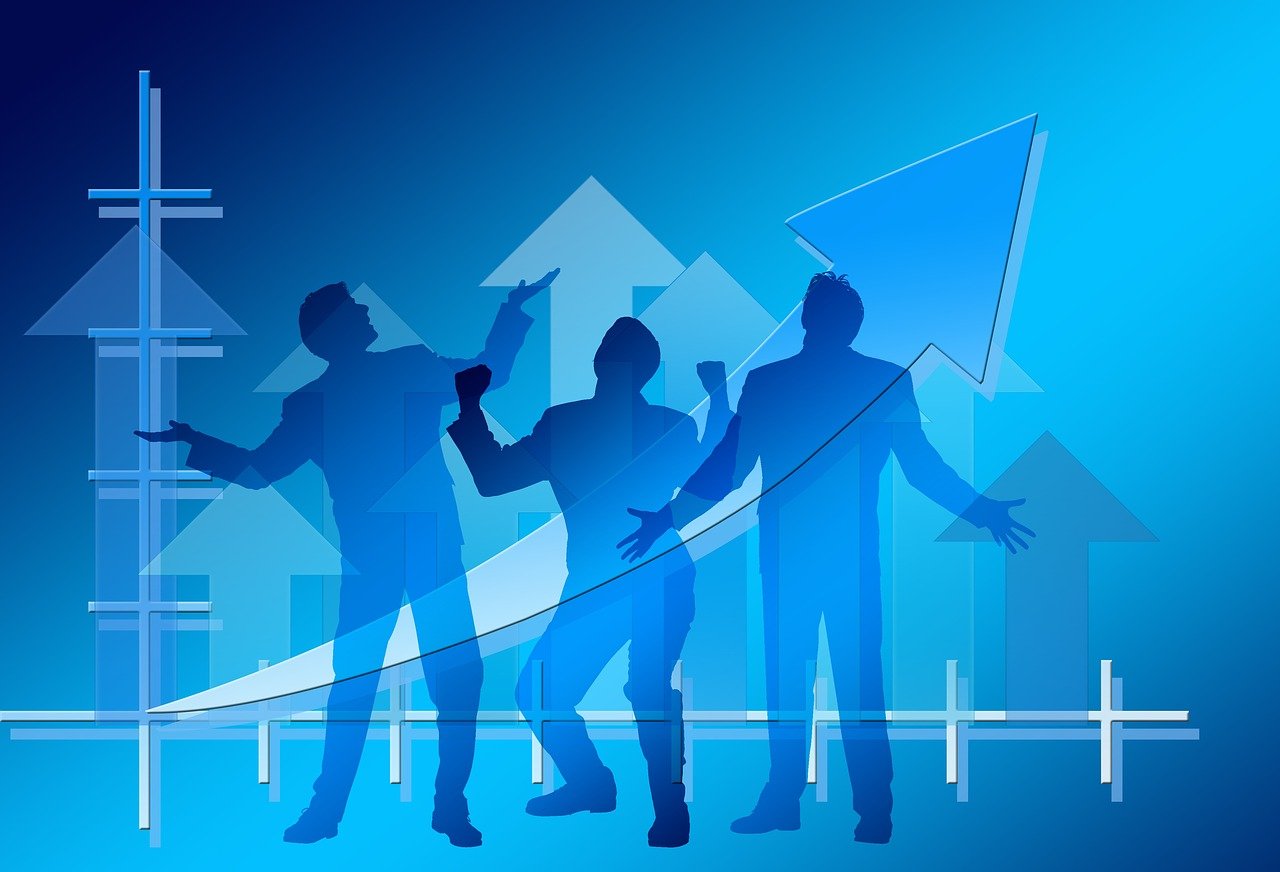 最新兔毛行情分析與趨勢預測