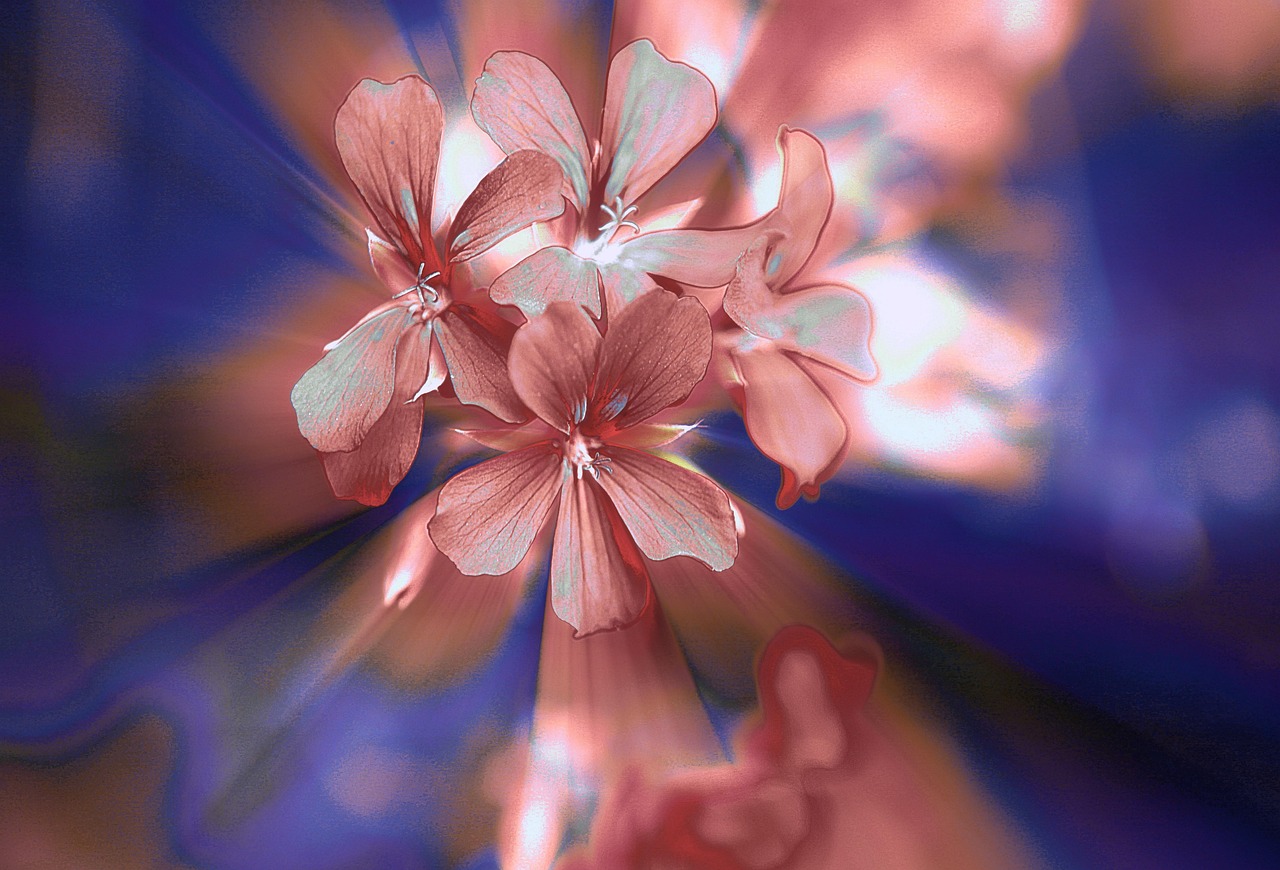 最新動(dòng)漫推薦，帶你走進(jìn)精彩世界！