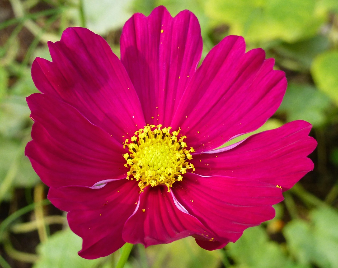 揭秘蘇馬蕩最新動態(tài)，自然奇觀的新篇章探索