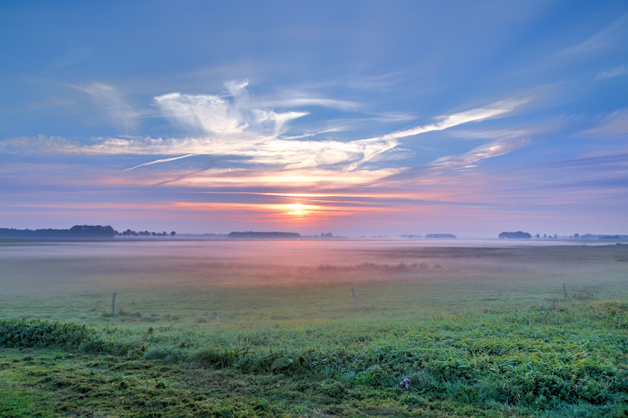 萬(wàn)州特區(qū)最新發(fā)展動(dòng)態(tài)概覽