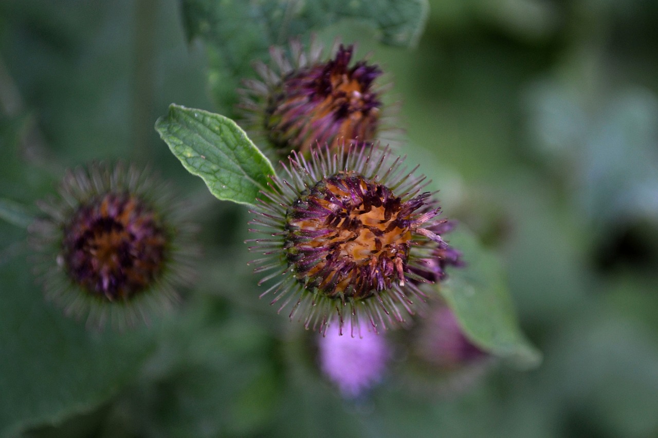 粵電力A最新消息綜述，動(dòng)態(tài)更新與深度分析