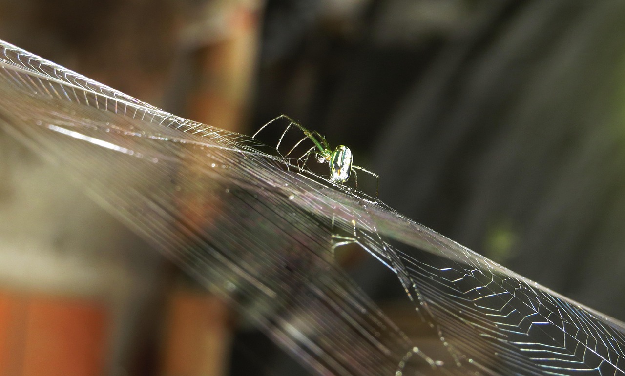 粵電力A最新消息綜述,動態(tài)更新與深度分析