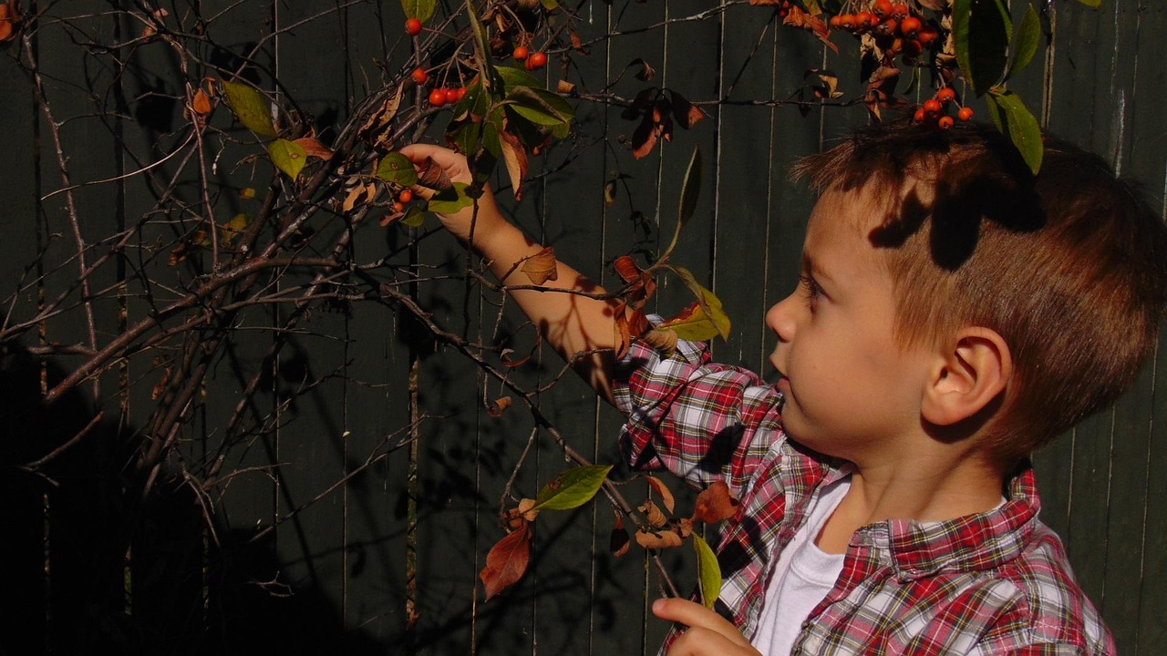 周至黑渭濕地最新動(dòng)態(tài)，生態(tài)保護(hù)與可持續(xù)發(fā)展的前沿探索