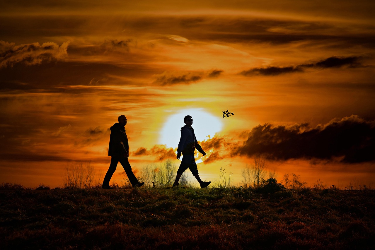 重塑家庭互動與愛的連結(jié),最新親子關(guān)系動態(tài)深度解析