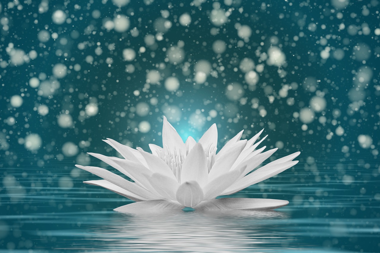 默愛新篇章，星河之戀的深情告白