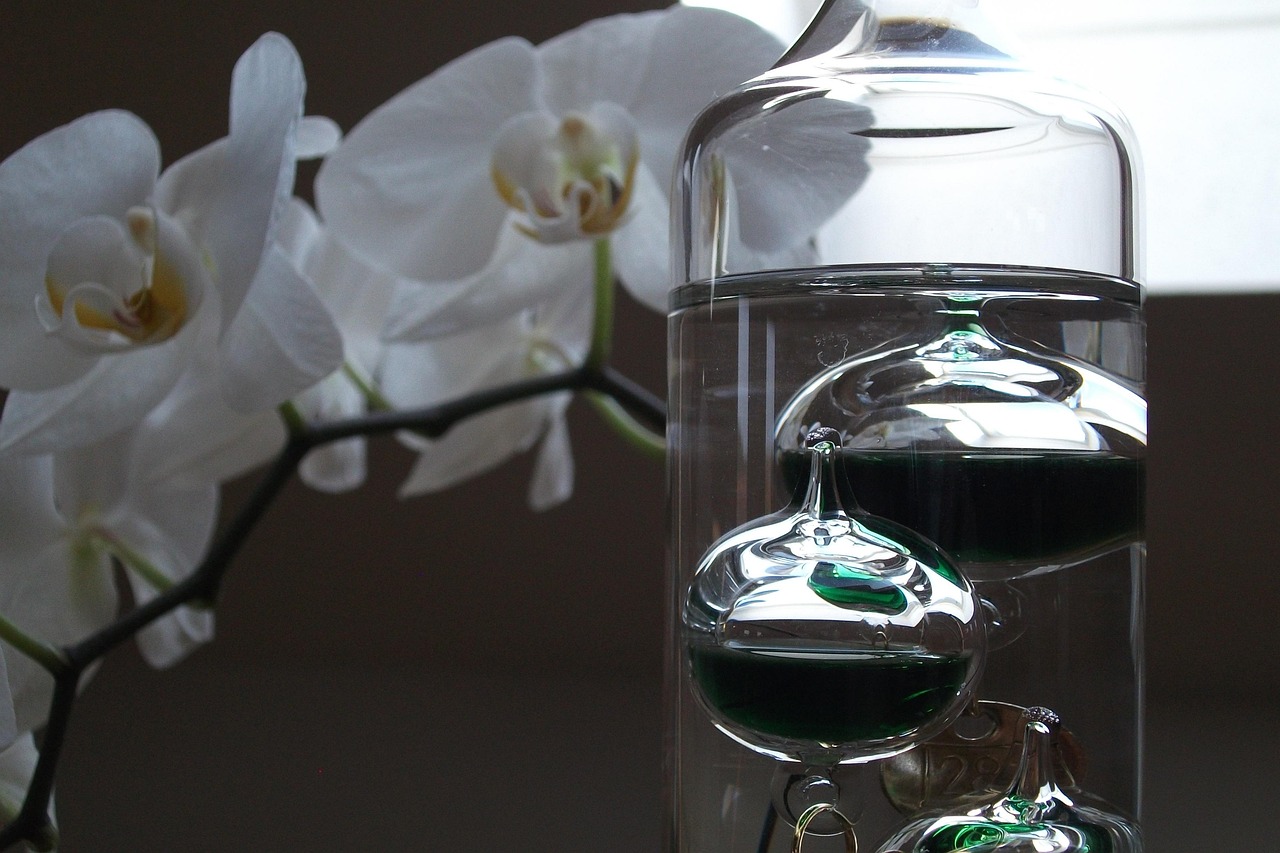 語畫界融合創新動態,探索語言與視覺藝術的最新交融發展