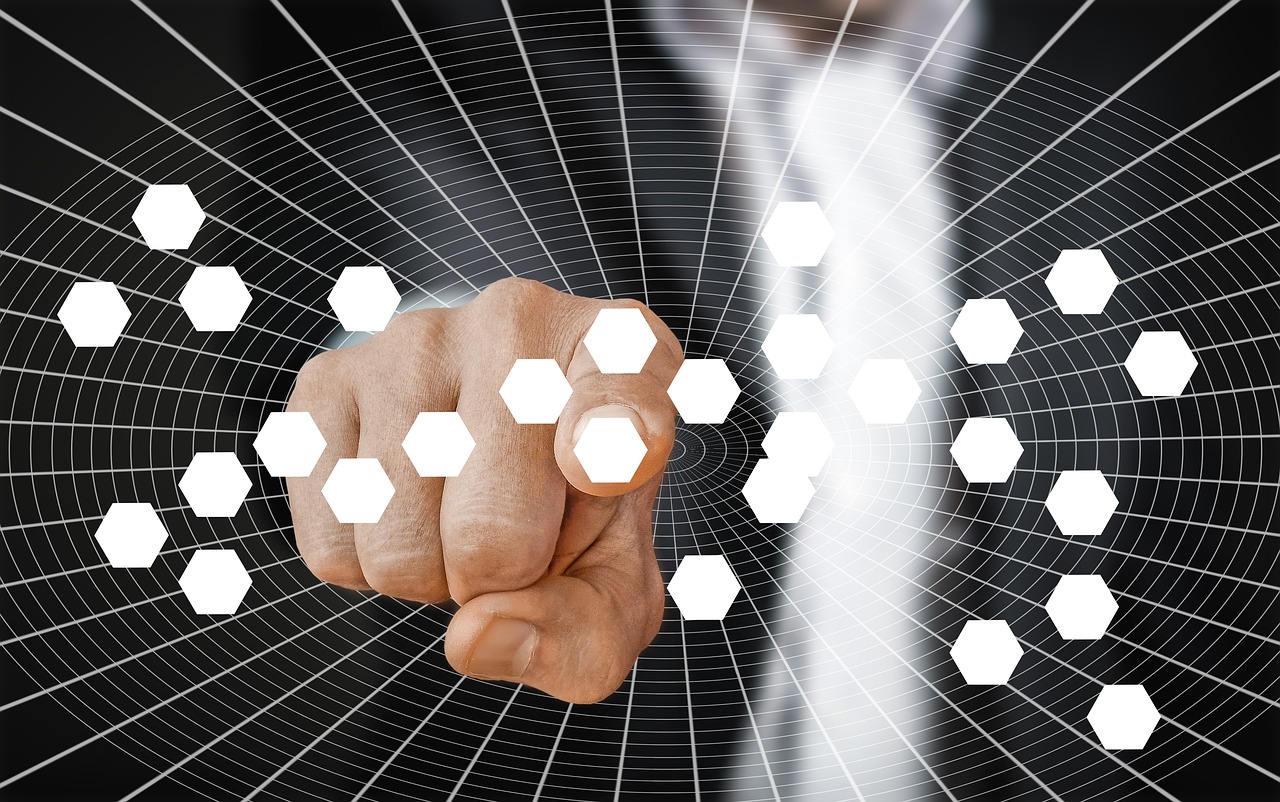 大力籽行情分析,機遇與挑戰并存的行業走勢