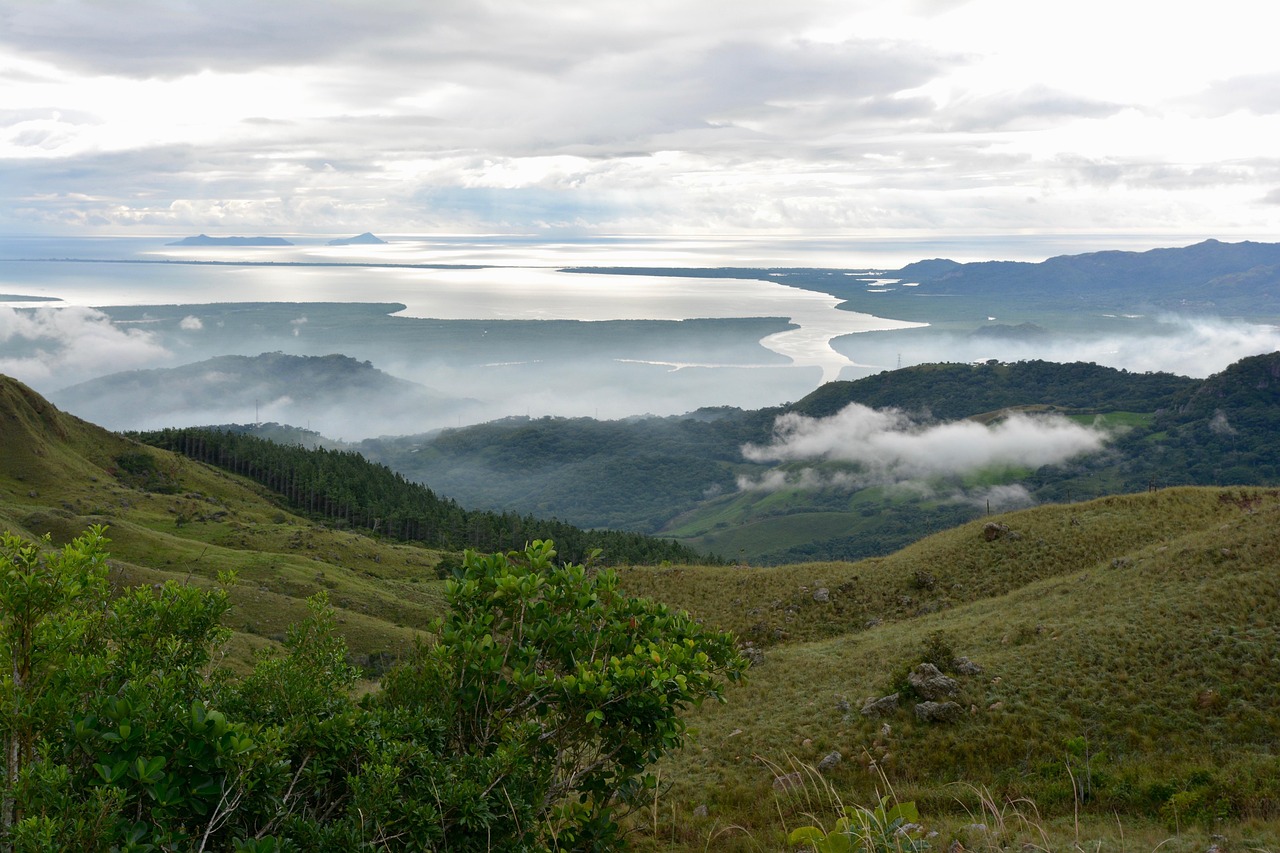 河北生豬市場動態(tài)分析與觀察