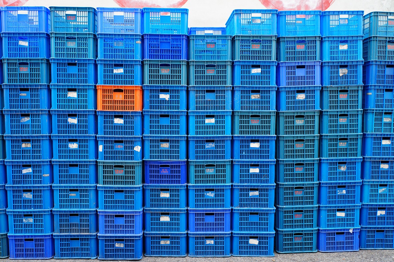 魯俊最新動態(tài)揭秘，探索前沿科技，引領(lǐng)未來創(chuàng)新之路