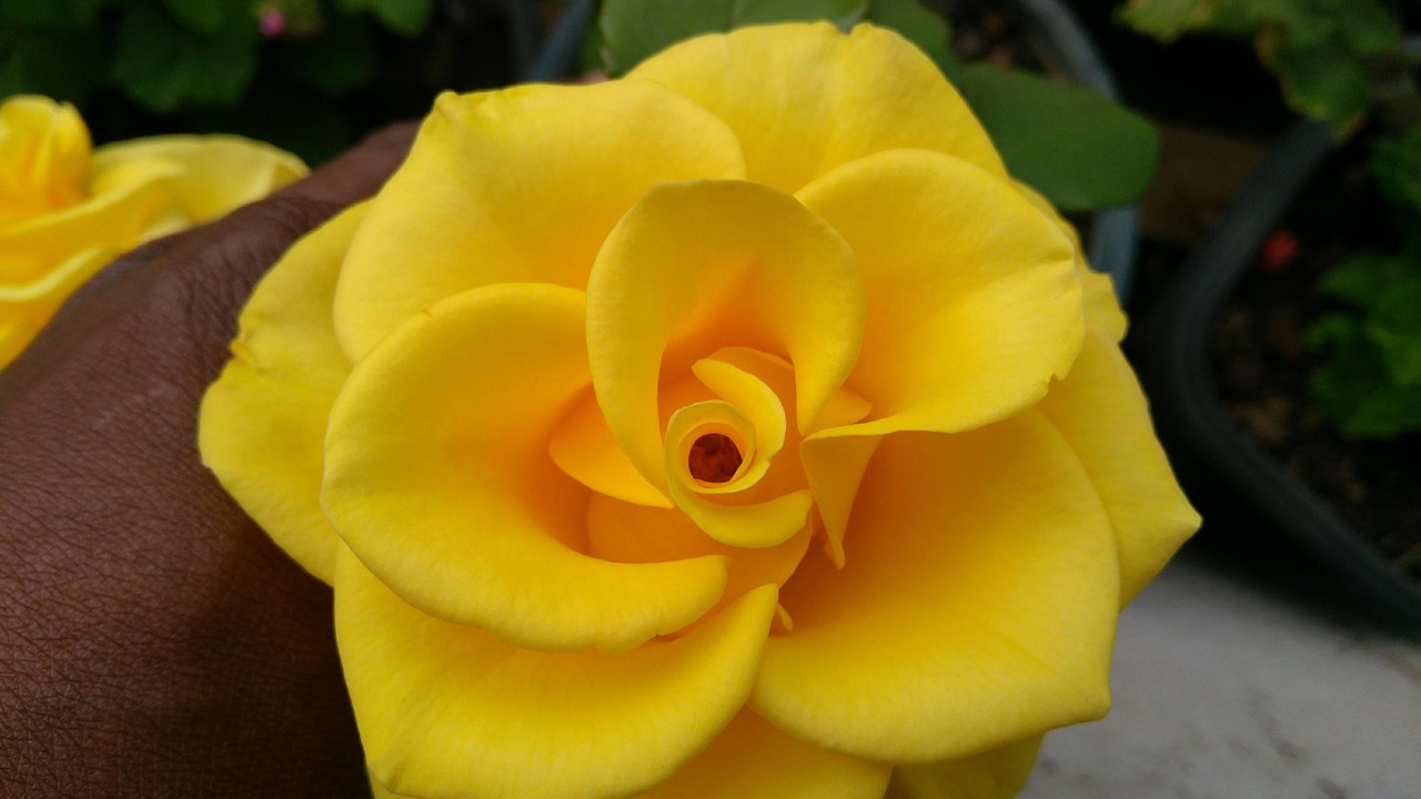 善心匯最新動(dòng)態(tài)2017，持續(xù)傳遞正能量，攜手共創(chuàng)美好未來