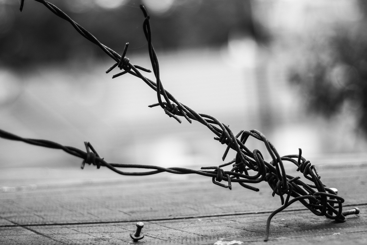 陳凱歌最新力作，探索電影藝術(shù)的無限邊界