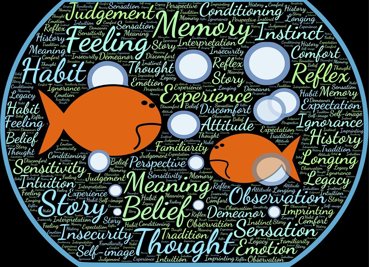 李文星事件最新進(jìn)展揭秘，捍衛(wèi)真相，堅(jiān)守公正之路