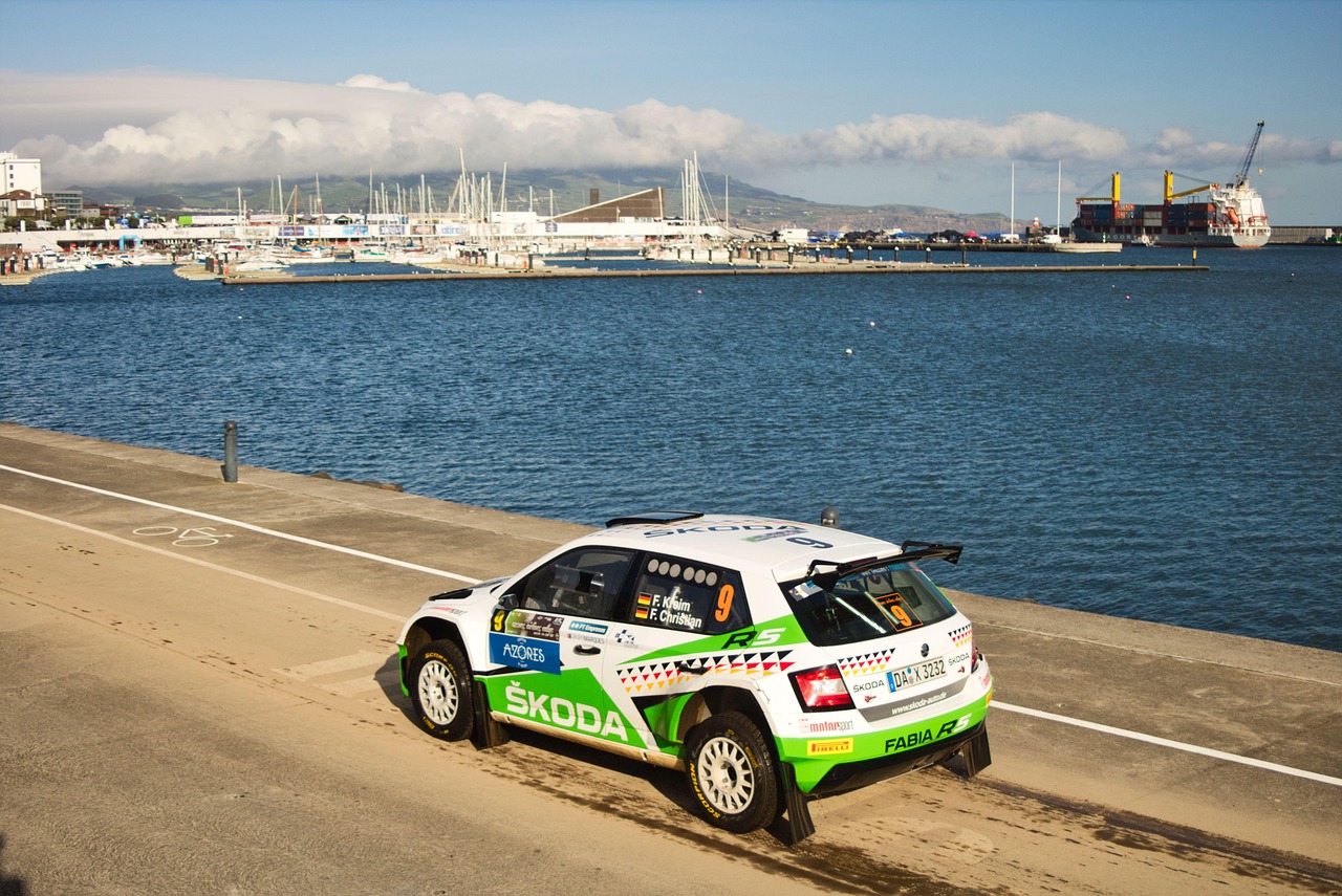 飛度比賽的激情與挑戰(zhàn)，賽場(chǎng)上的速度與激情