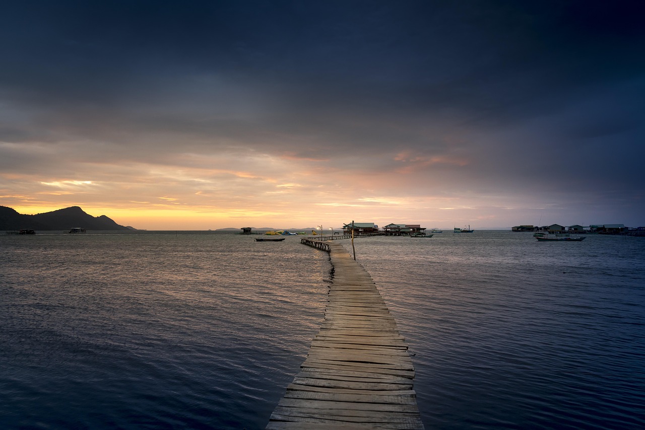 深圳新星股票最新動態(tài)及展望深度解析