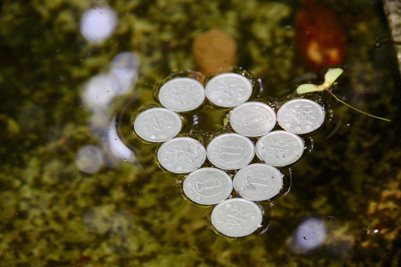 北京起源財富最新動態(tài)，揭秘未來財富增長的新引擎