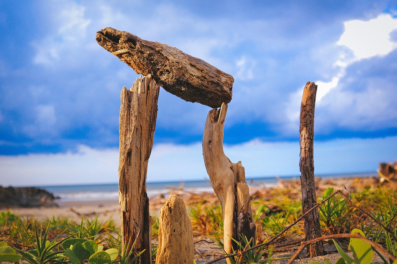 2023年美國大選最新動(dòng)態(tài)解析與預(yù)測