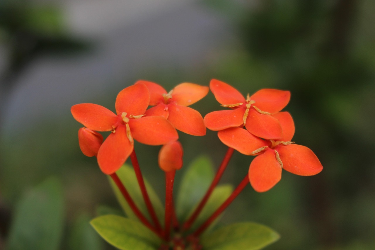 2025年5月 第76頁(yè)