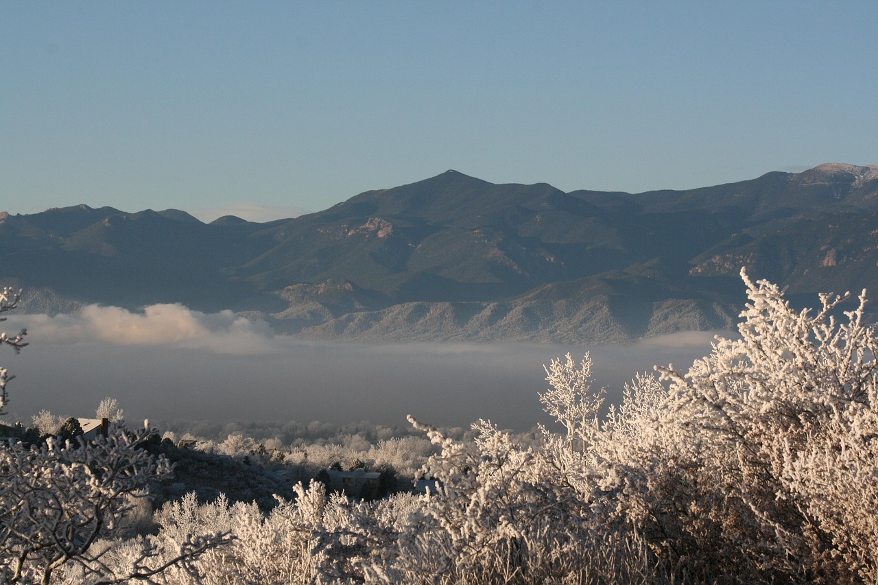 美國最新病歷資訊概覽與動態(tài)更新
