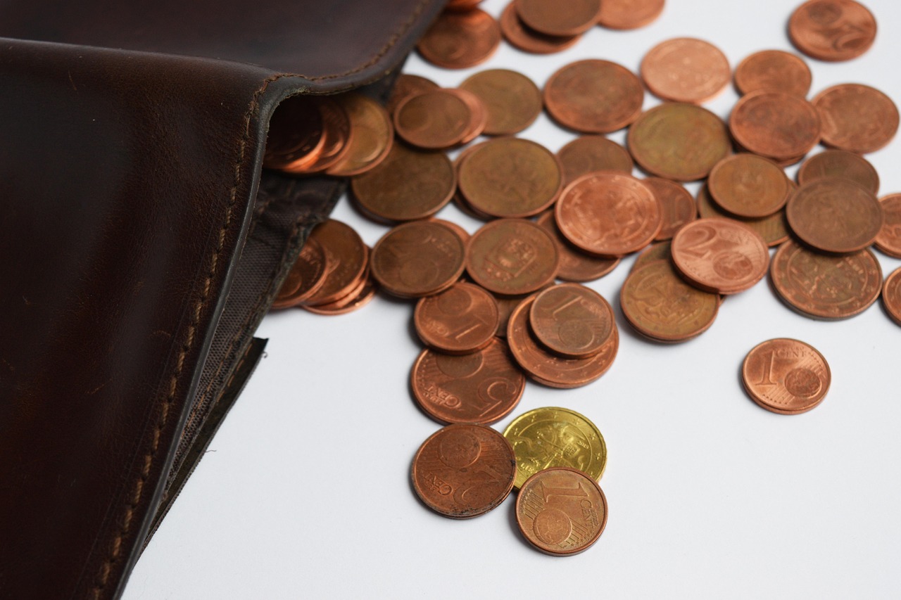 美國百色熊涂料價格解析，品質(zhì)與價值并存