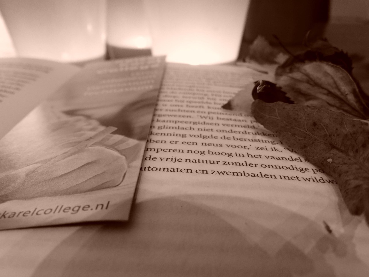 探索文學(xué)的新疆界，最新佳作一覽