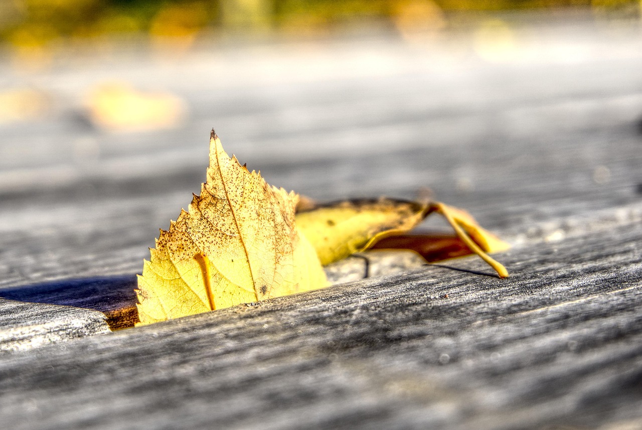 福安藥業(yè)股票最新動態(tài)及分析摘要