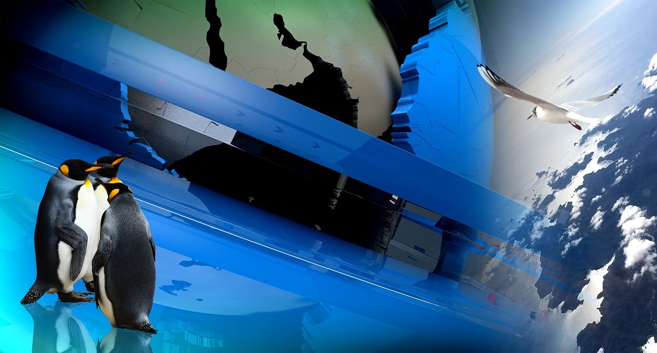 最新電視劇免費在線觀看，影視世界的魅力探索