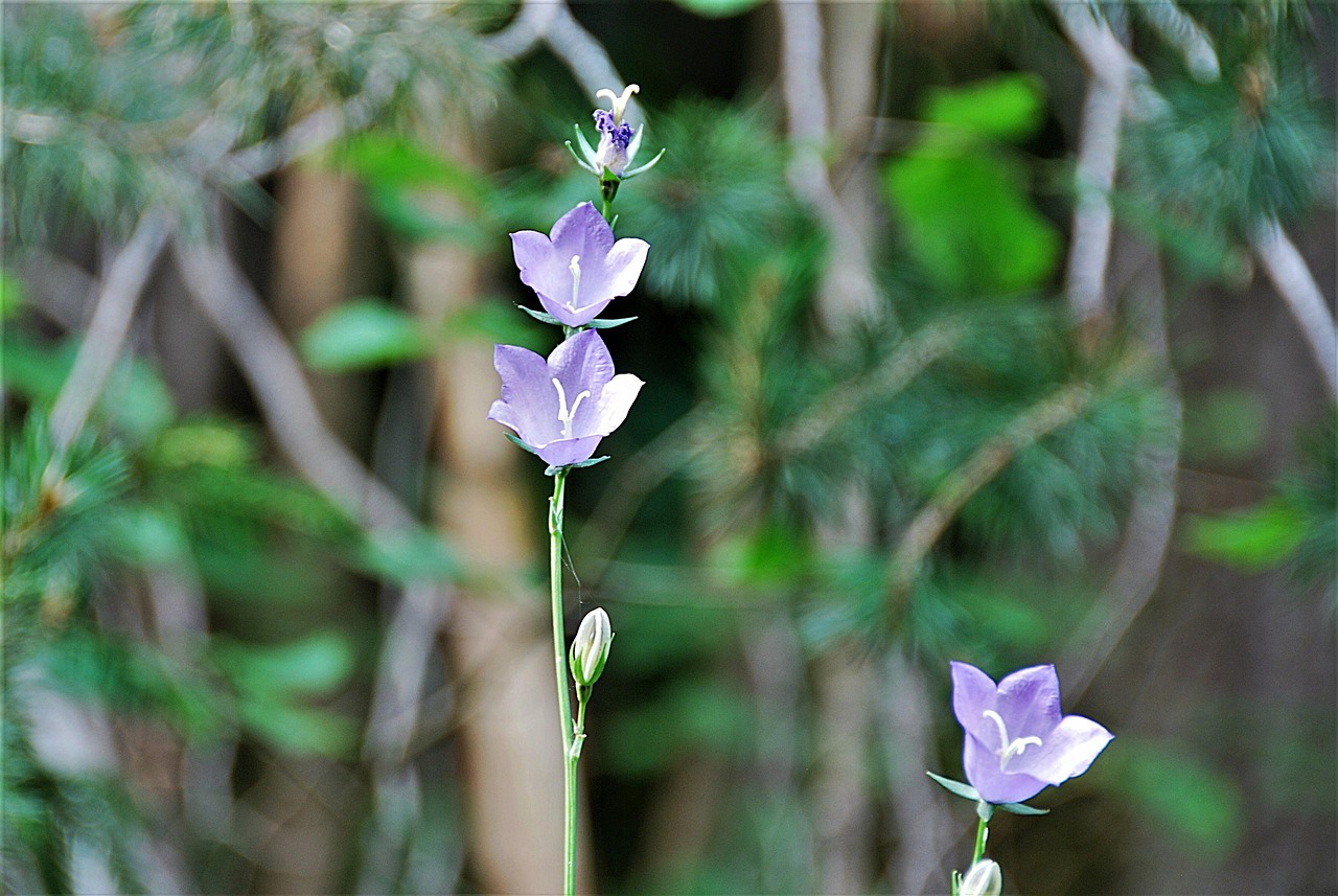 姜堰新聞網最新資訊，深度解析當地發(fā)展動態(tài)