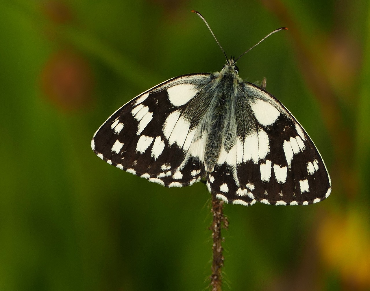 最新股票價(jià)格動(dòng)態(tài)更新，市場(chǎng)影響力解析