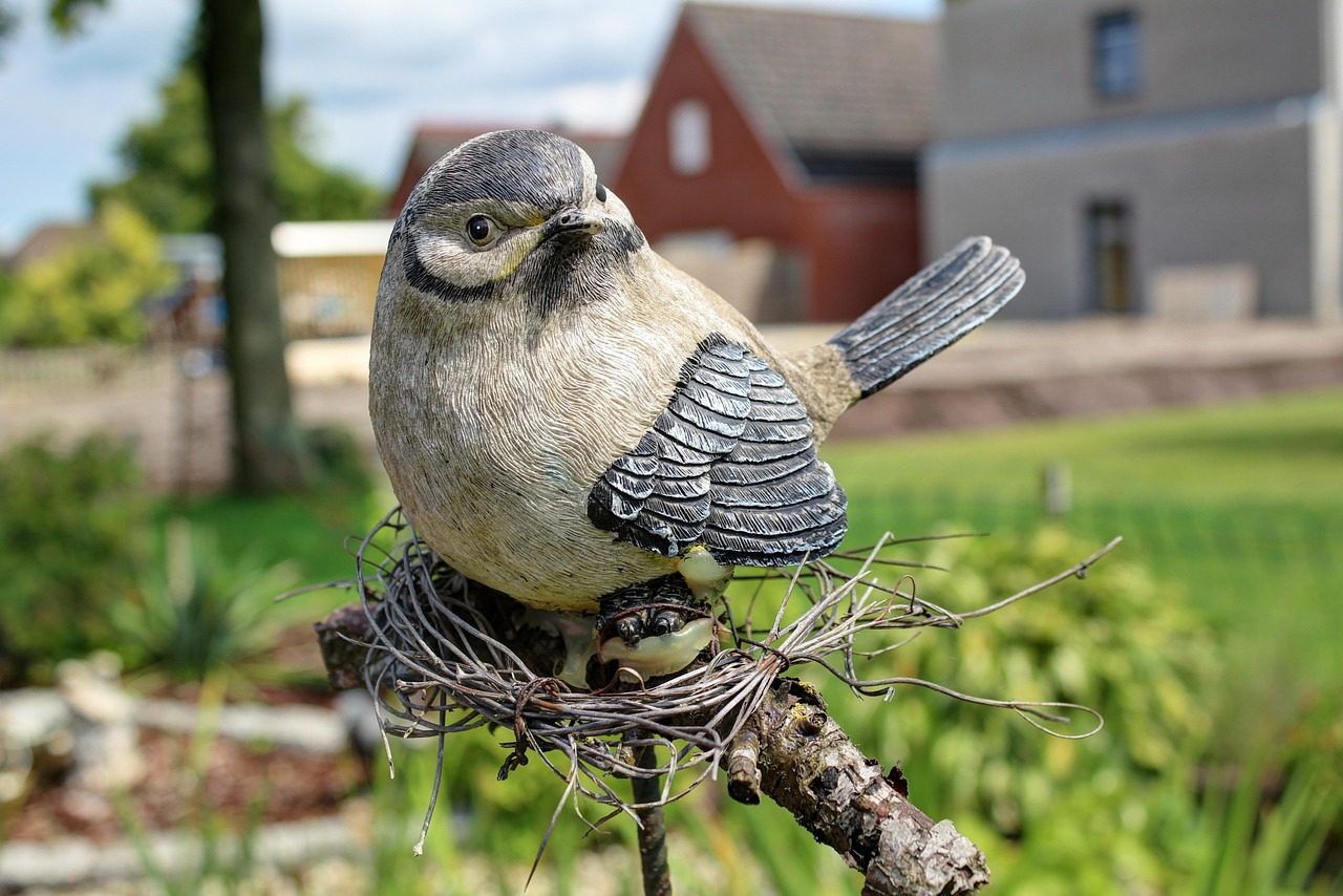 樂安縣棚戶區(qū)最新進(jìn)展動(dòng)態(tài)報(bào)告