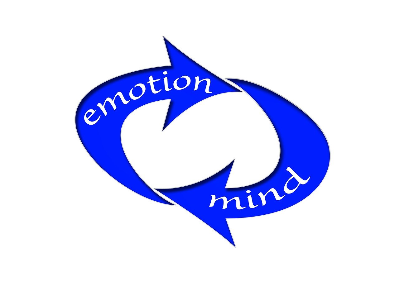 上市公司董事會決議，決策流程與影響深度解析