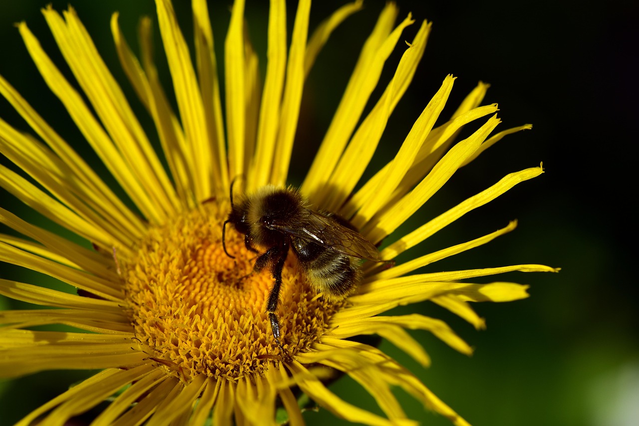 太原滴滴最新動態(tài)，引領(lǐng)城市出行變革的新篇章開啟