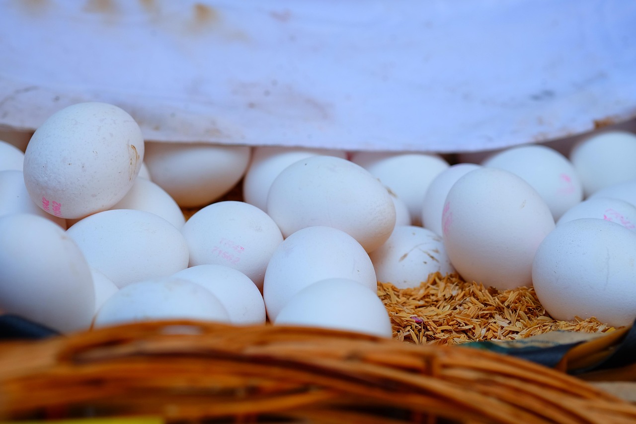 最新混凝土價(jià)格動(dòng)態(tài)分析與趨勢(shì)預(yù)測(cè)