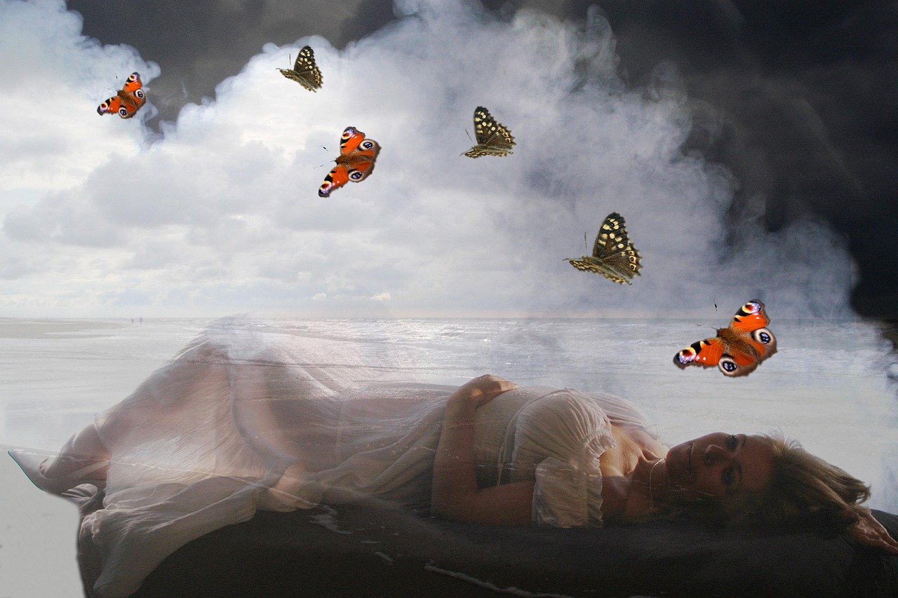 龍巖新羅區(qū)最新職位招聘動態(tài)及人才市場分析概覽