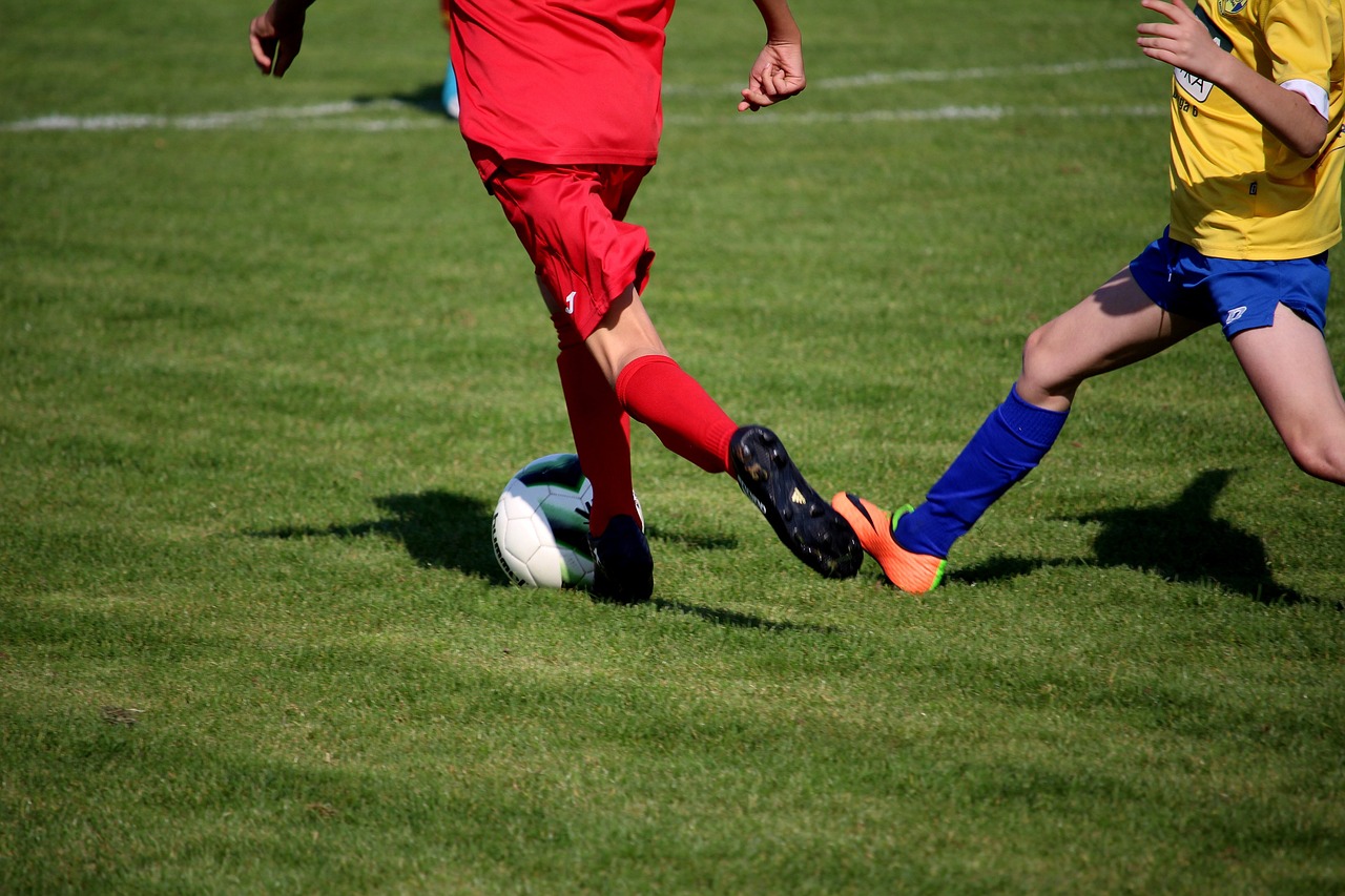 美國(guó)腦科學(xué)研究最新動(dòng)態(tài)，揭秘前沿進(jìn)展，探尋未來(lái)奧秘