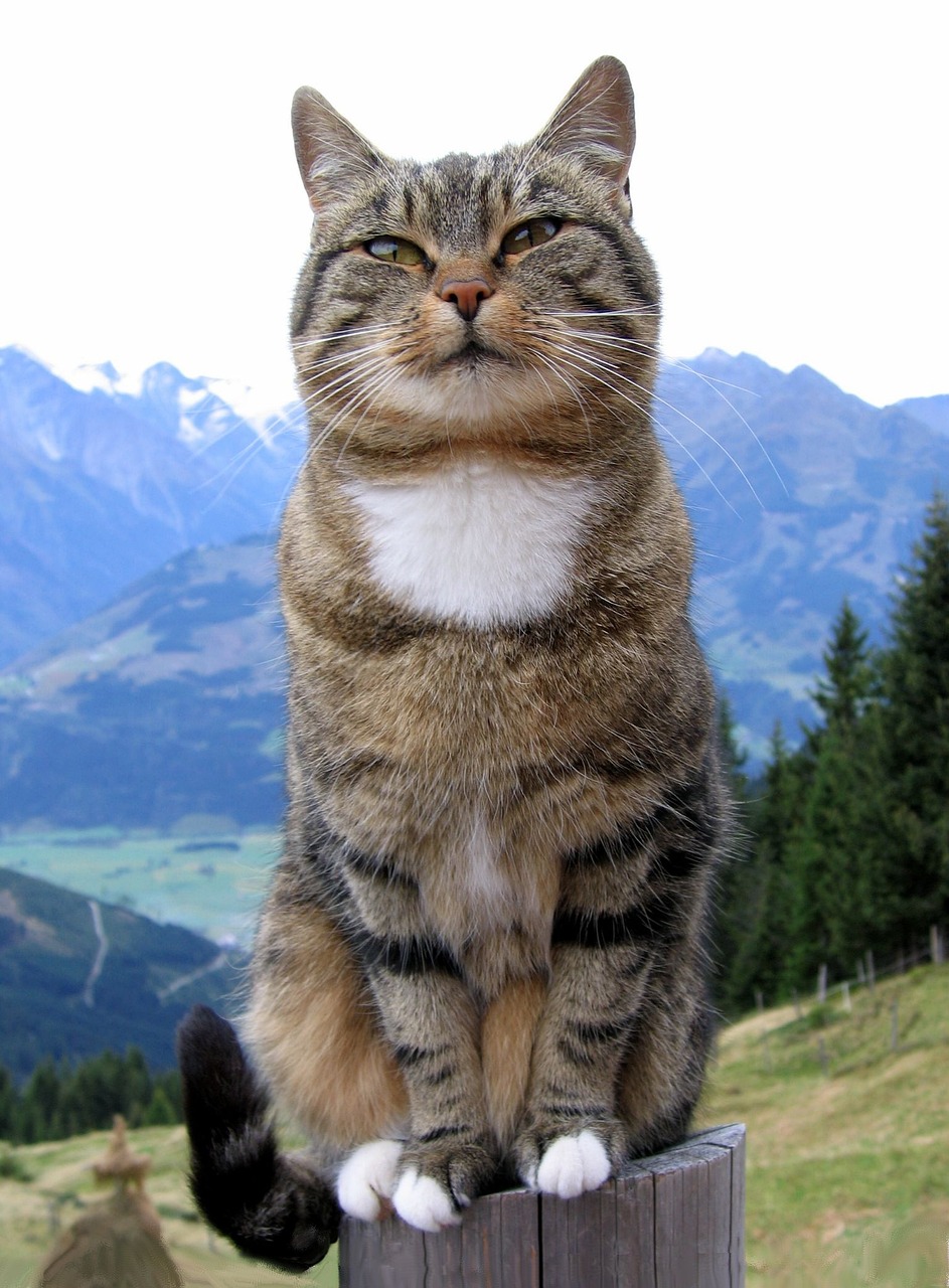 2025年9月 第244頁(yè)