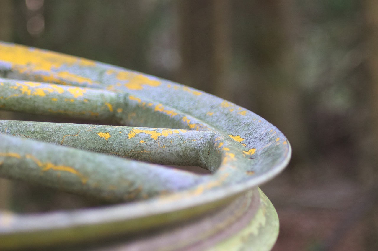 小強(qiáng)熱線聚焦時(shí)事熱點(diǎn)，傳遞最新民生動態(tài)