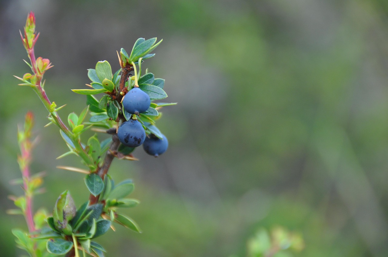 許昌環(huán)保動態(tài)，邁向綠色生態(tài)之路的進程報告