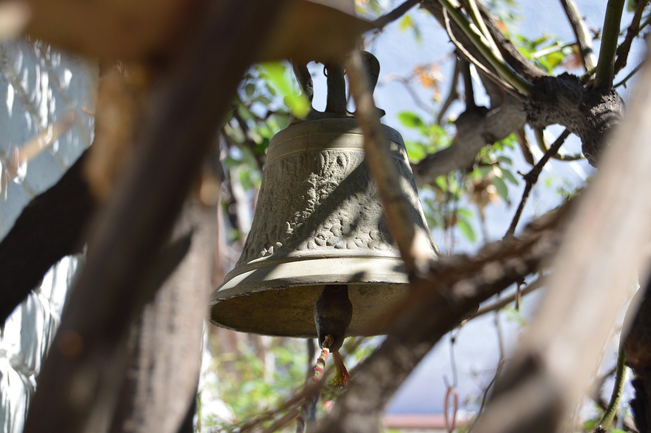 華魯恒升股價(jià)最新動(dòng)態(tài)，市場(chǎng)走勢(shì)分析與展望