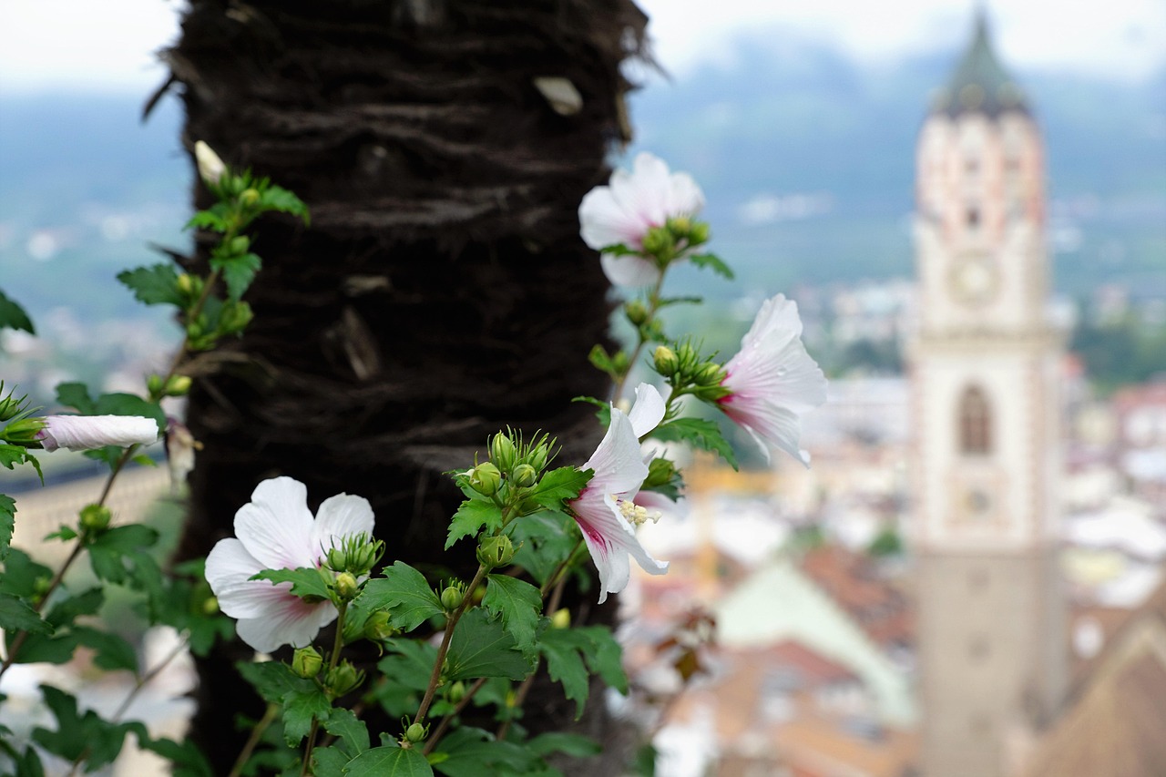 宏大爆破股票最新動(dòng)態(tài)及市場(chǎng)走勢(shì)與前景展望