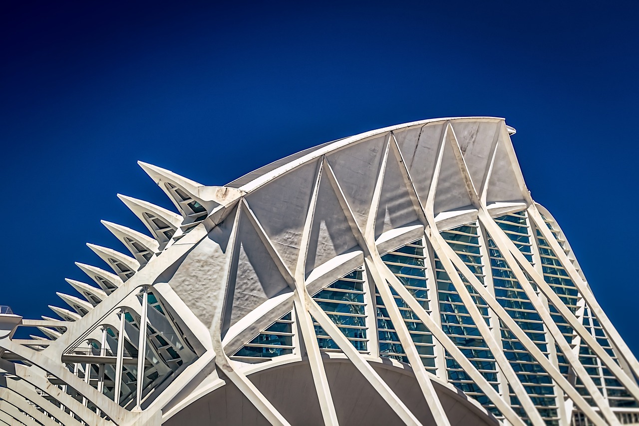 木蘭大道最新動態(tài)，城市發(fā)展的脈搏與未來展望展望報告