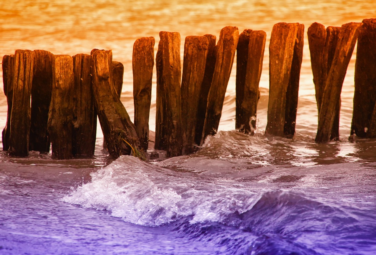 東莞黃江社貝最新職位招聘與就業(yè)市場(chǎng)分析動(dòng)態(tài)