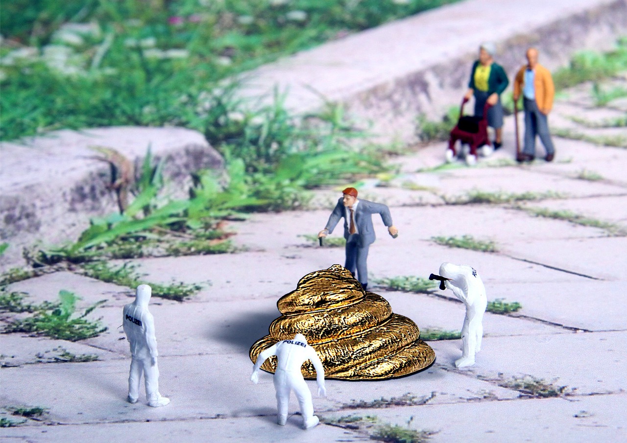 探索茶文化現(xiàn)代演繹與創(chuàng)新，最新茶坊動(dòng)態(tài)報(bào)道