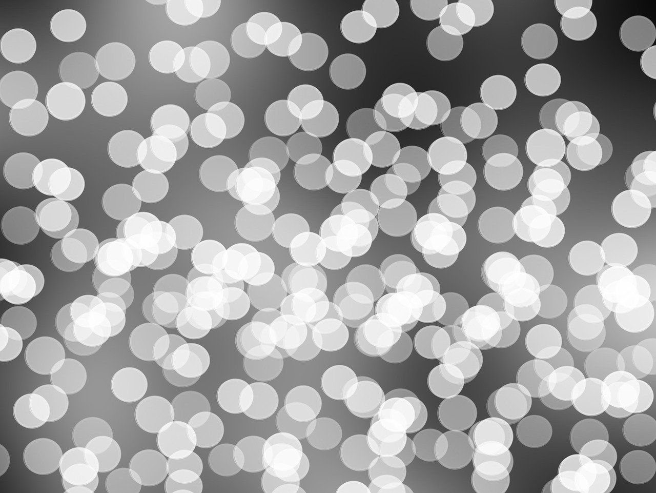 Mi2組合最新動(dòng)態(tài)，音樂(lè)界璀璨新星持續(xù)閃耀